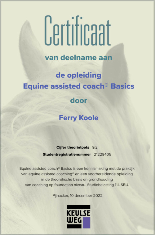 Certificaat Equine Assisted Coach basics bij de Keulseweg. Ferry Koole.